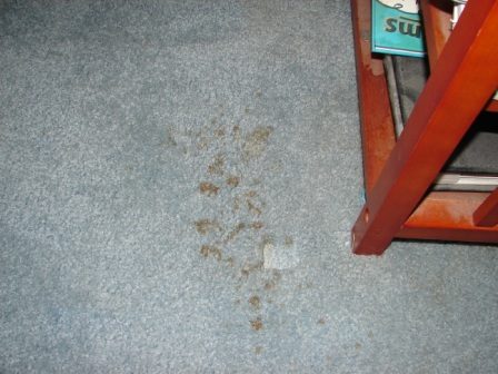 Coffee stain before cleaning