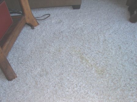 Red wine spill after